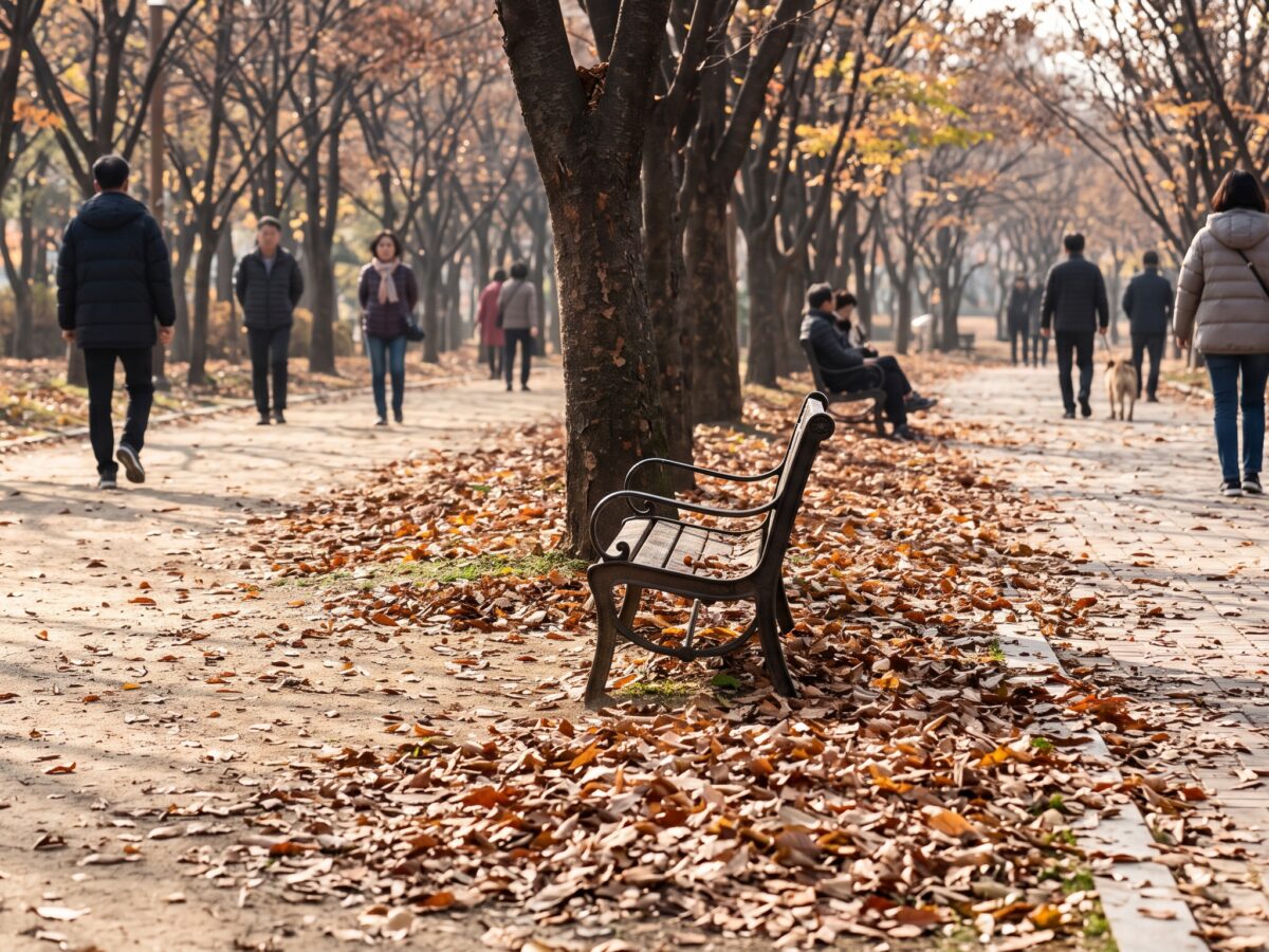 가을 풍경