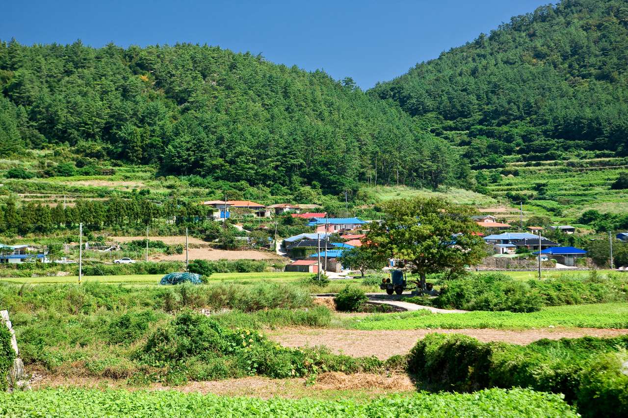 송지면 시골 마을 풍경