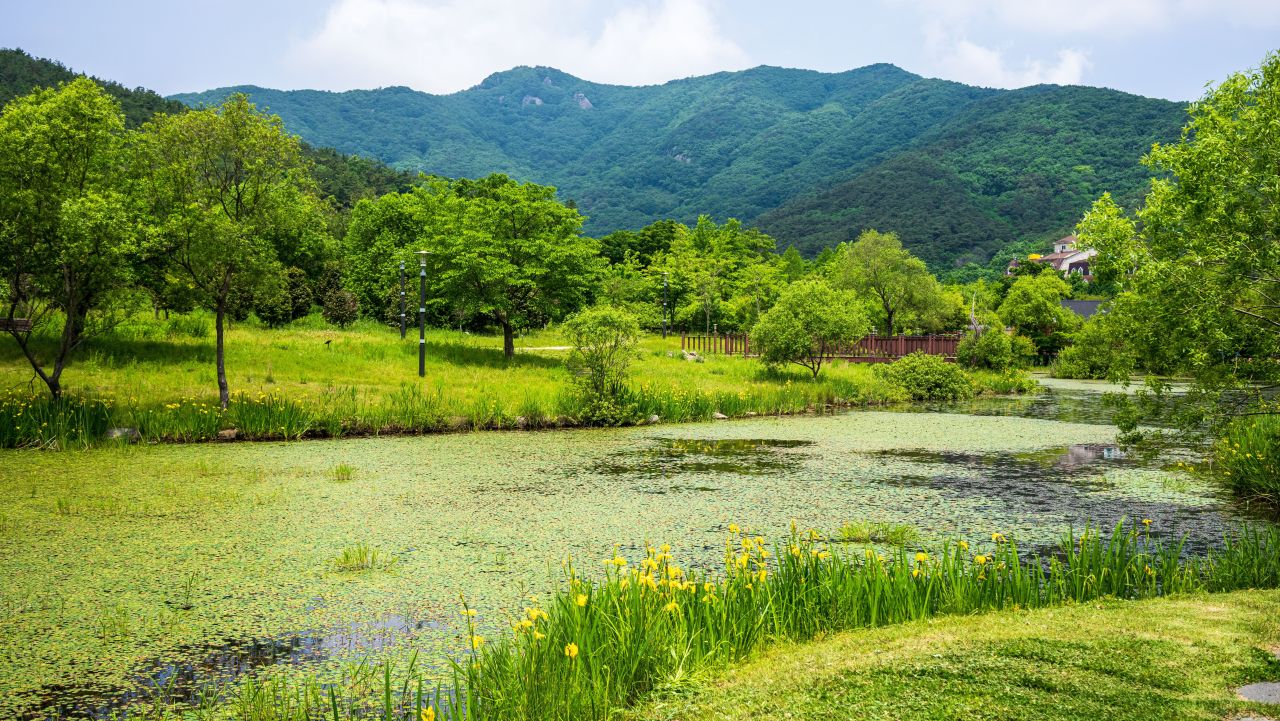 선운산도립공원 탐방로
