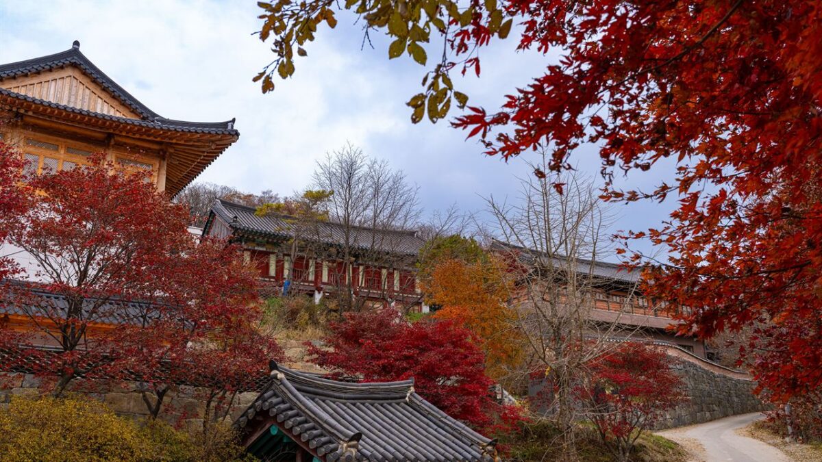 안국사 사찰 전경