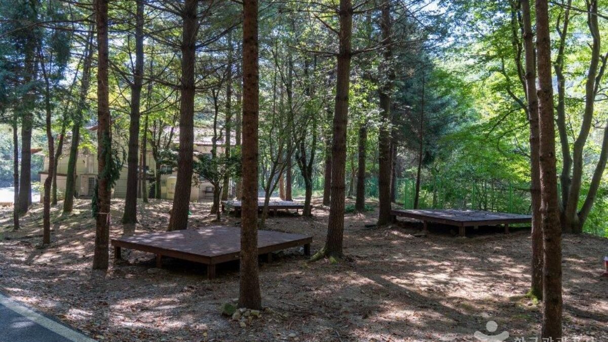 단풍이 물든 숲 속에 자리한 자연휴양림 전경