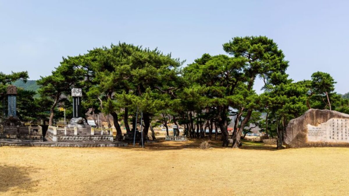 한밤마을 어귀의 소나무 숲과 비석