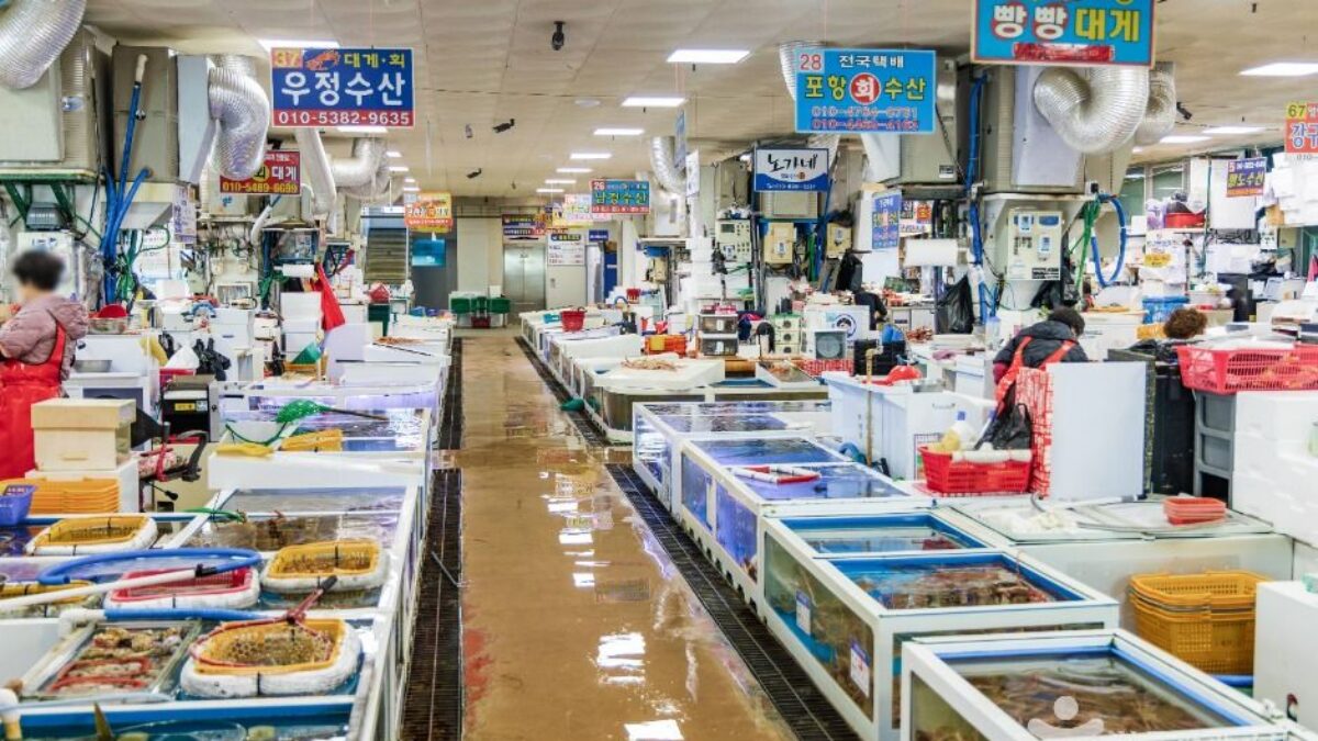 어선과 어시장이 있는 묵호항 풍경