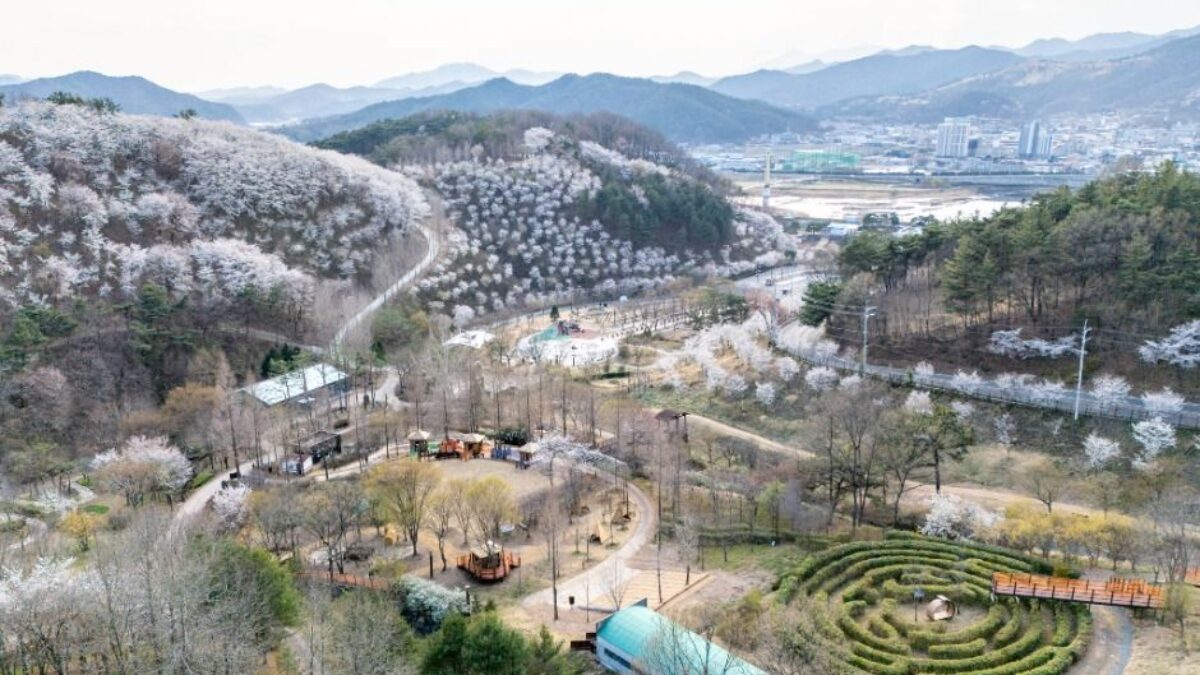 대가야수목원 일대 숲